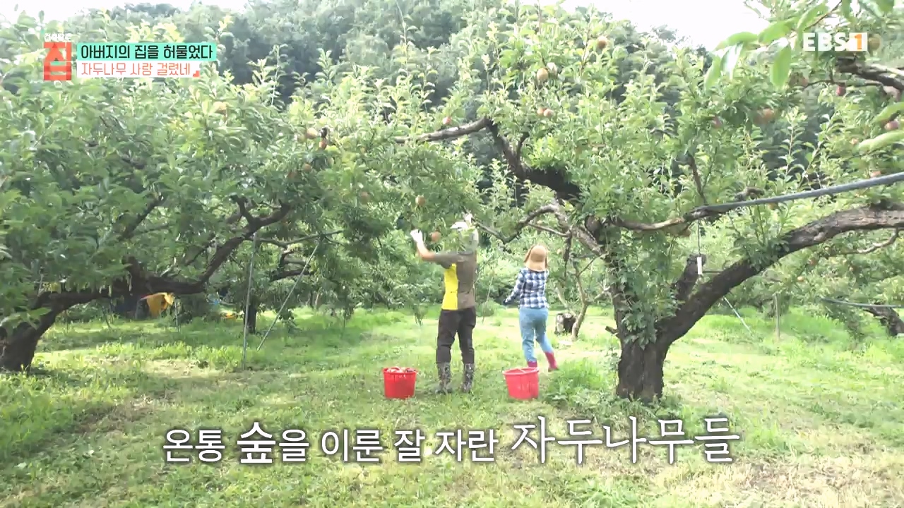 TV - 전 국민의 평생학교 EBS아버지의 집을 허물었다.mp4_20231019_205932.958.jpg