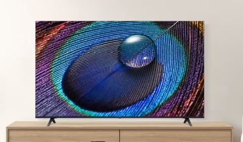  109~139cm(43~55)LG 울트라 HD TV (스탠드형) 125cm/50UR8250KNA