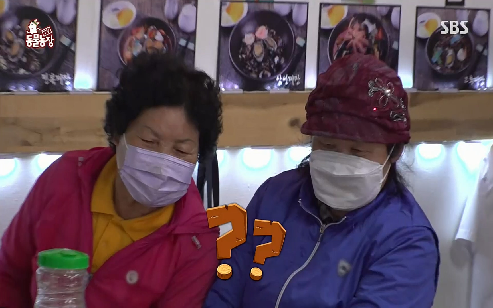 TV 동물농장.E1069.220515p.H264-F1RST.mp4_20220515_181239.789.jpg