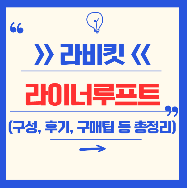 라비킷 라이너루프트 옆잠베개 정보 총정리