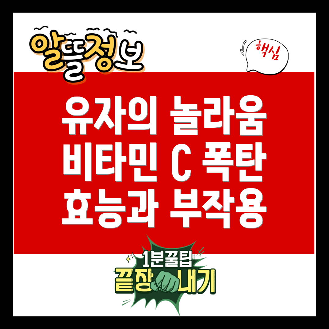유자 효능