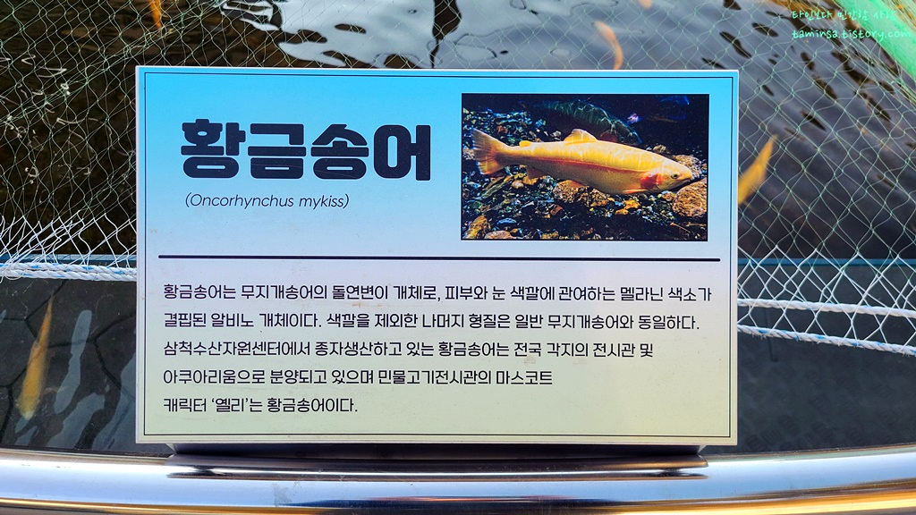 삼척-민물고기전시관-실외전시