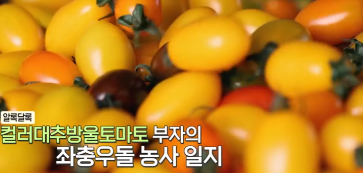 부자농장 이미지