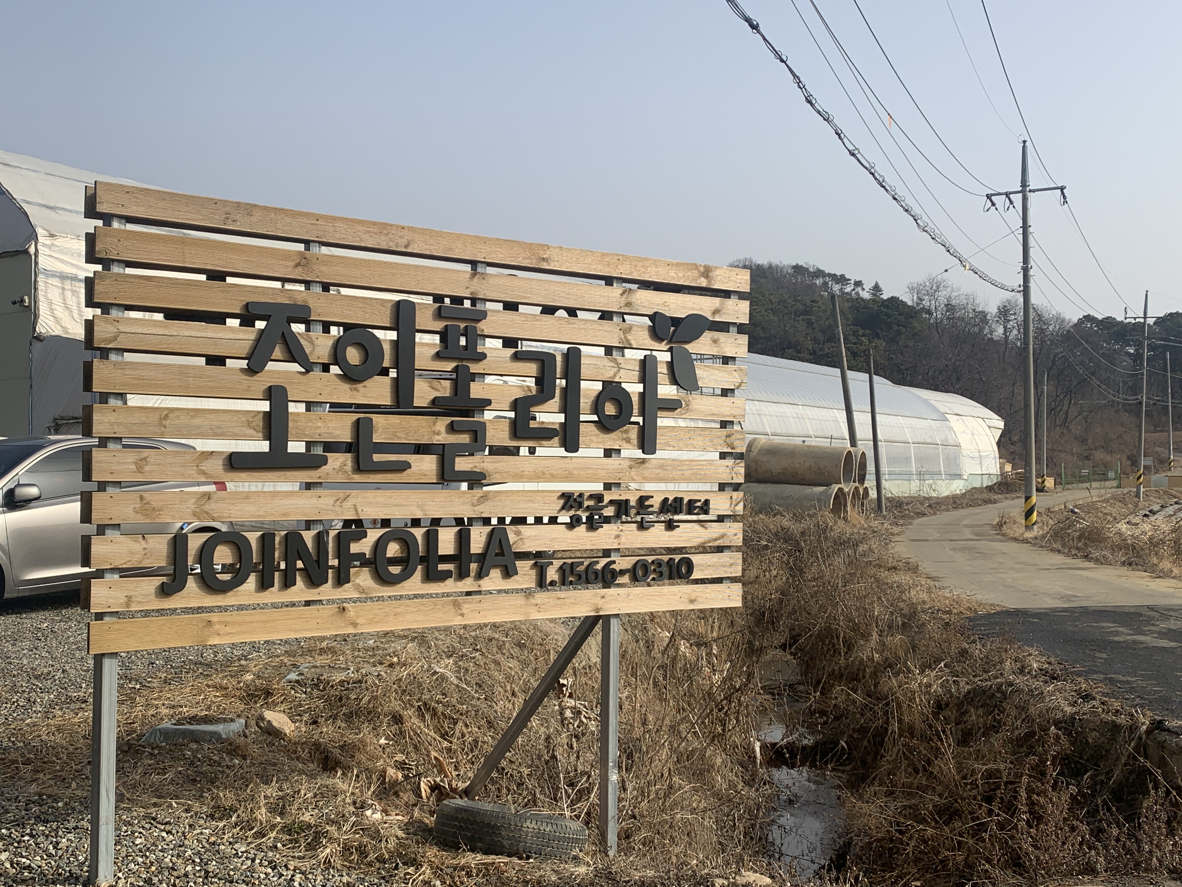  특별한 식물 가득한 파주 조인폴리아(+구매후기)