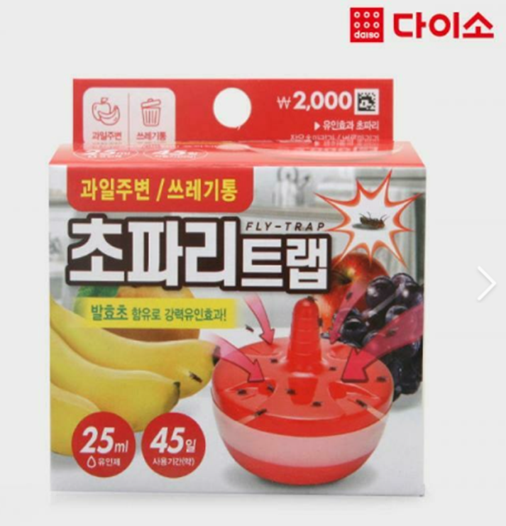 초파리 퇴치법ㄷ