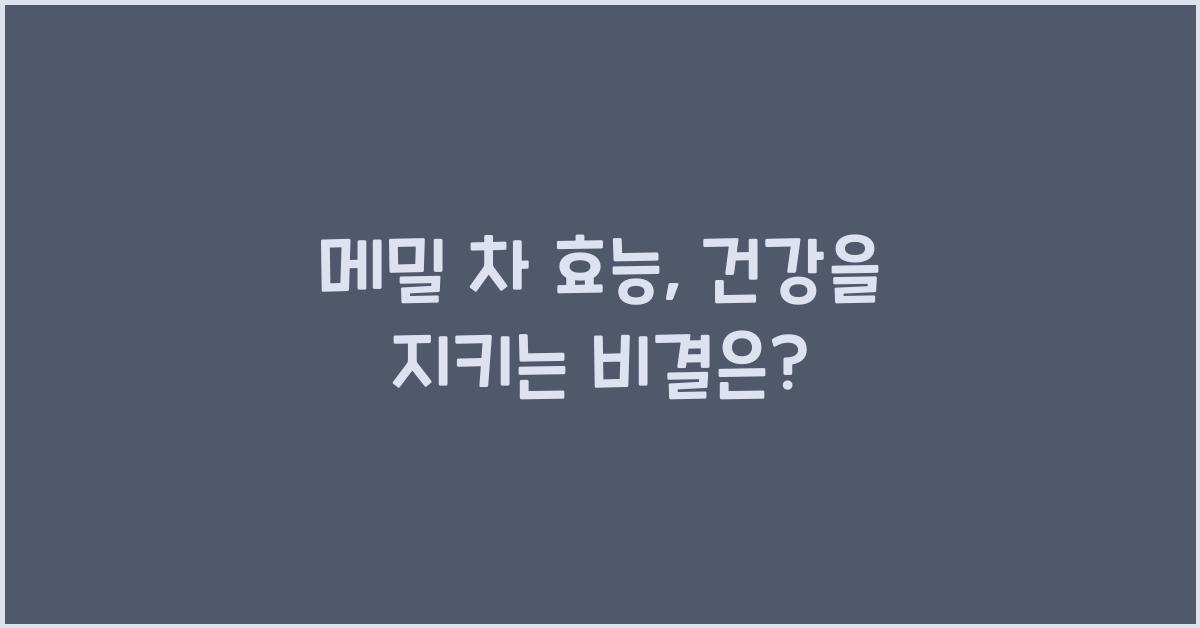 메밀 차 효능