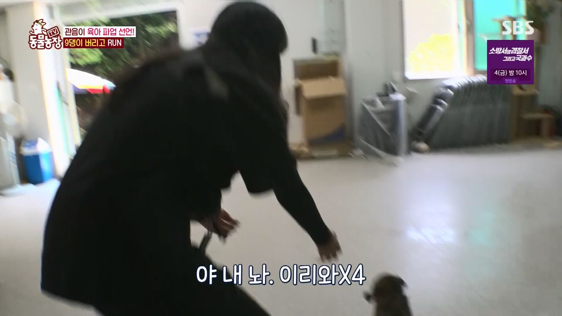 TV 동물농장.E1130.230723p.H264-F1RST.mp4_20230723_171157.181.jpg
