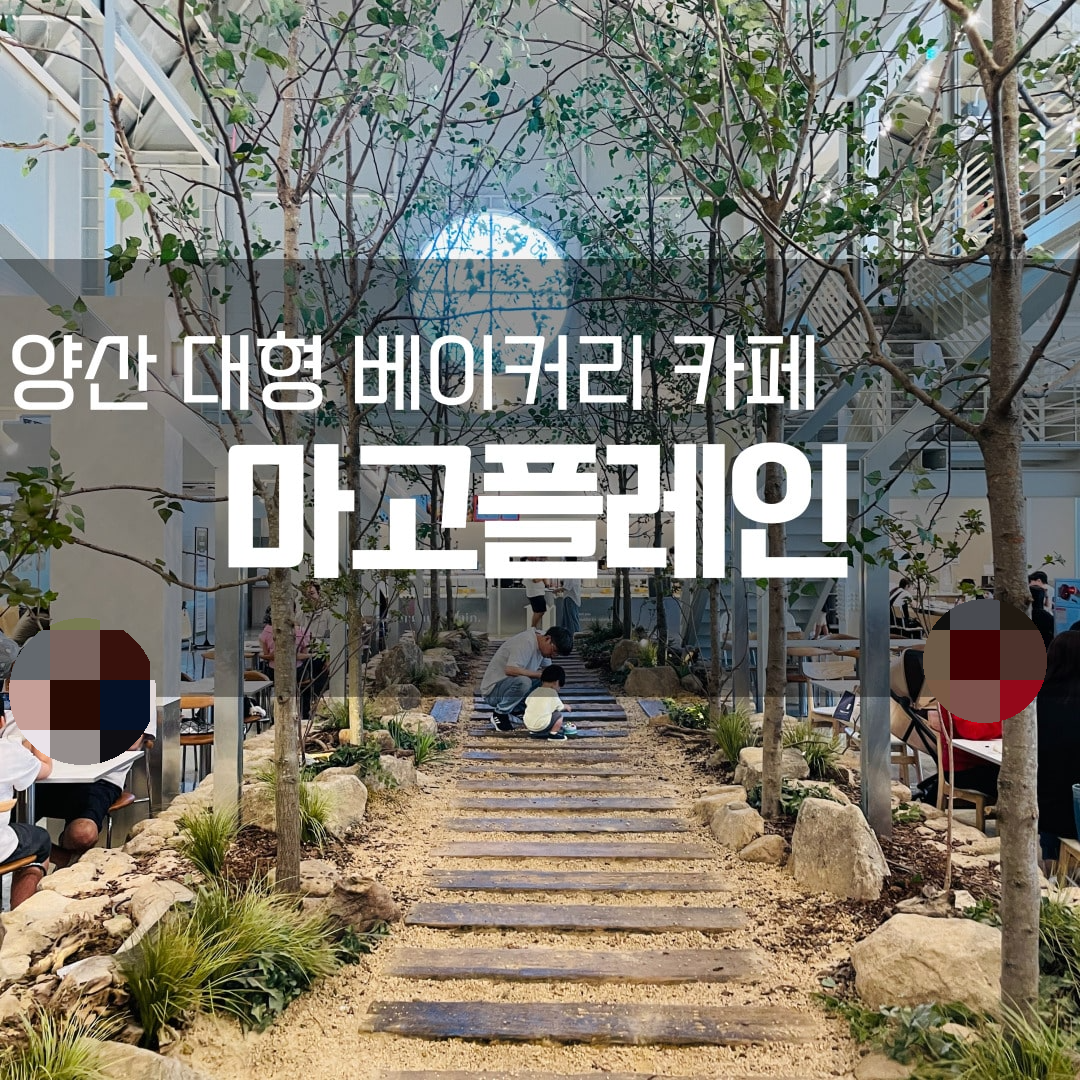 양산 대형 베이커리 카페 마고플레인