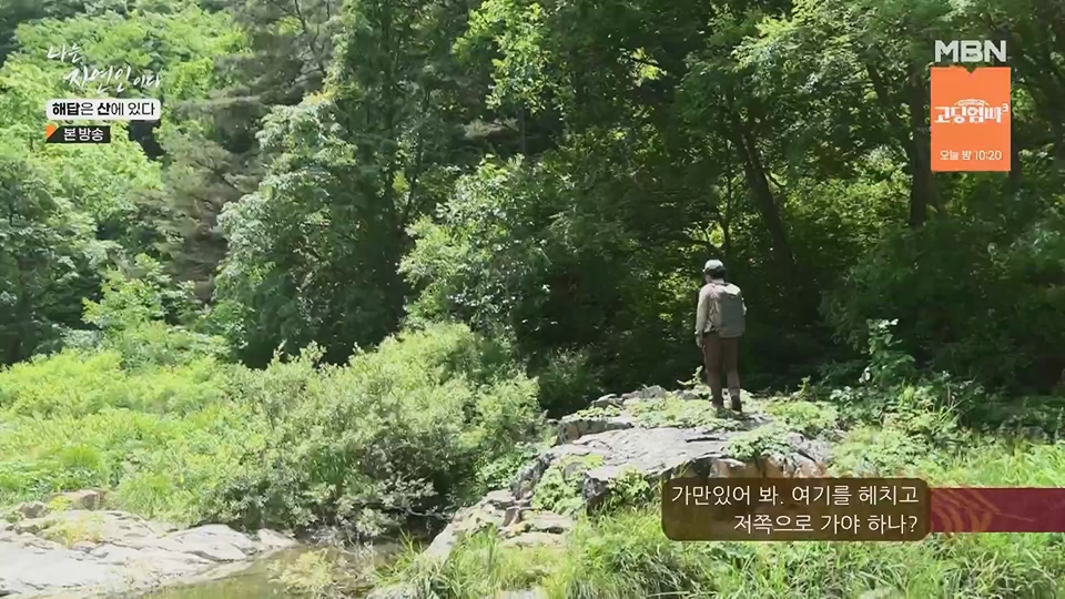 나는 자연인이다.E559.230621p.H264-F1RST.mp4_20230622_204014.634.jpg