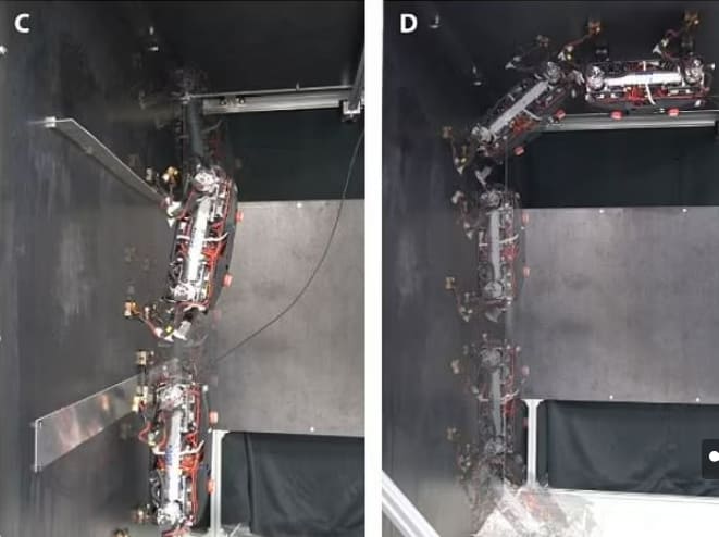 카이스트가 개발한 섬뜩한 마블 사족보행 로봇 VIDEO: Researchers create robot with magnetic 'paws' to climb up walls