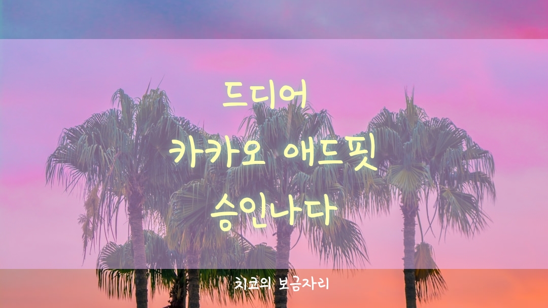  카카오 애드핏 심사 드디어 승인