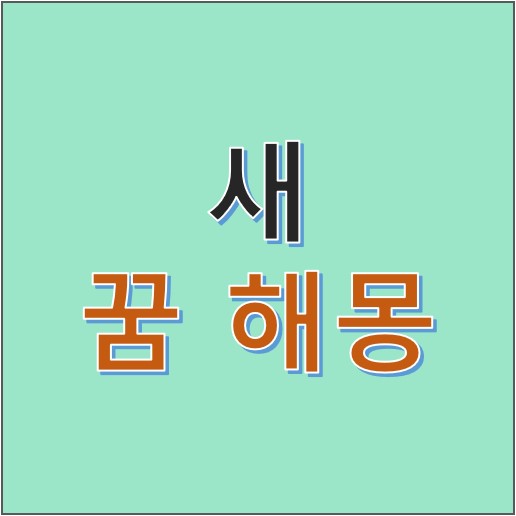  일어나면 까먹는 꿈자리, 해몽해보셨나요? 꿈해몽, 새 관련 꿈해몽 총정리