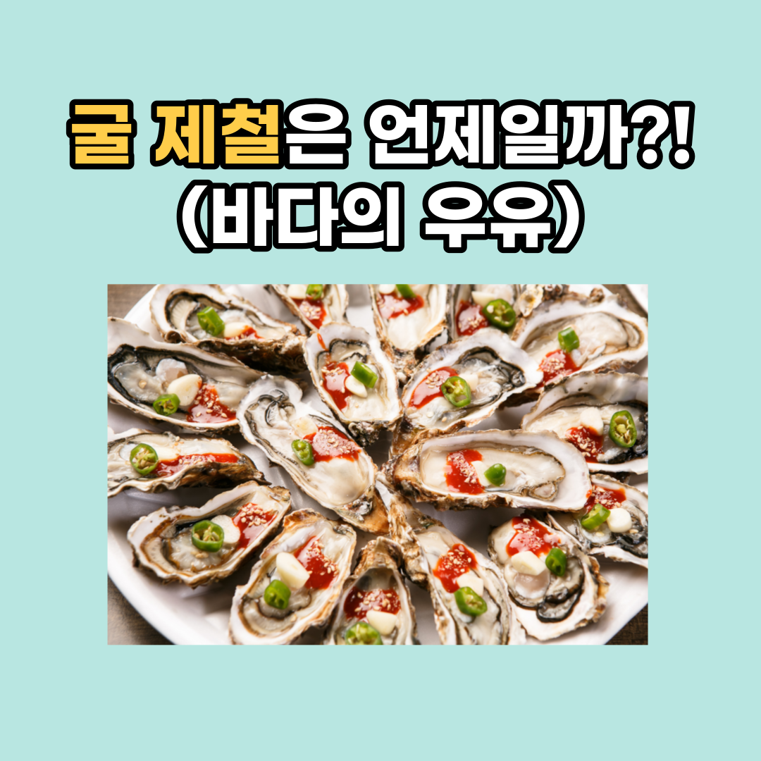  굴 제철은 언제일까