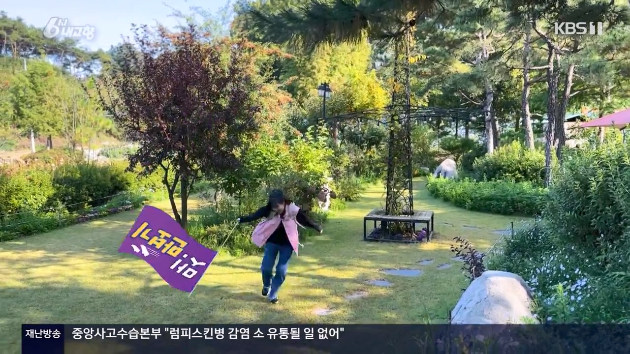 6시 내고향.E7910.231032p-NEXT.mp4_20231101_202205.319.jpg