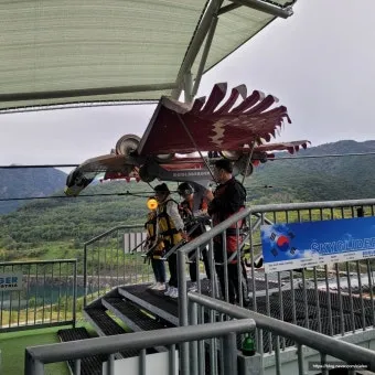강원도 무릉별유천지 라벤더 축제 일정 입장료 총정리_18