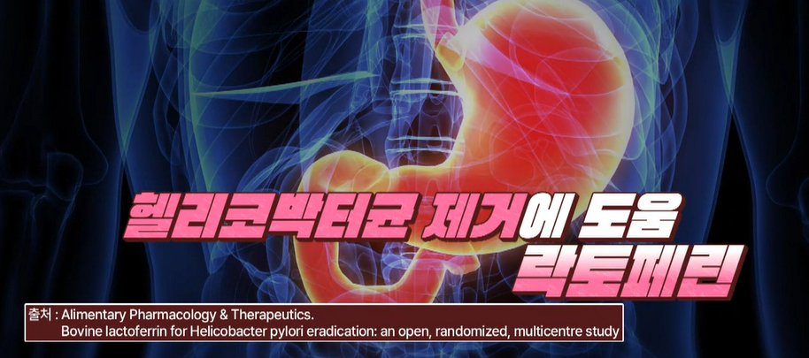 락토페린 효능