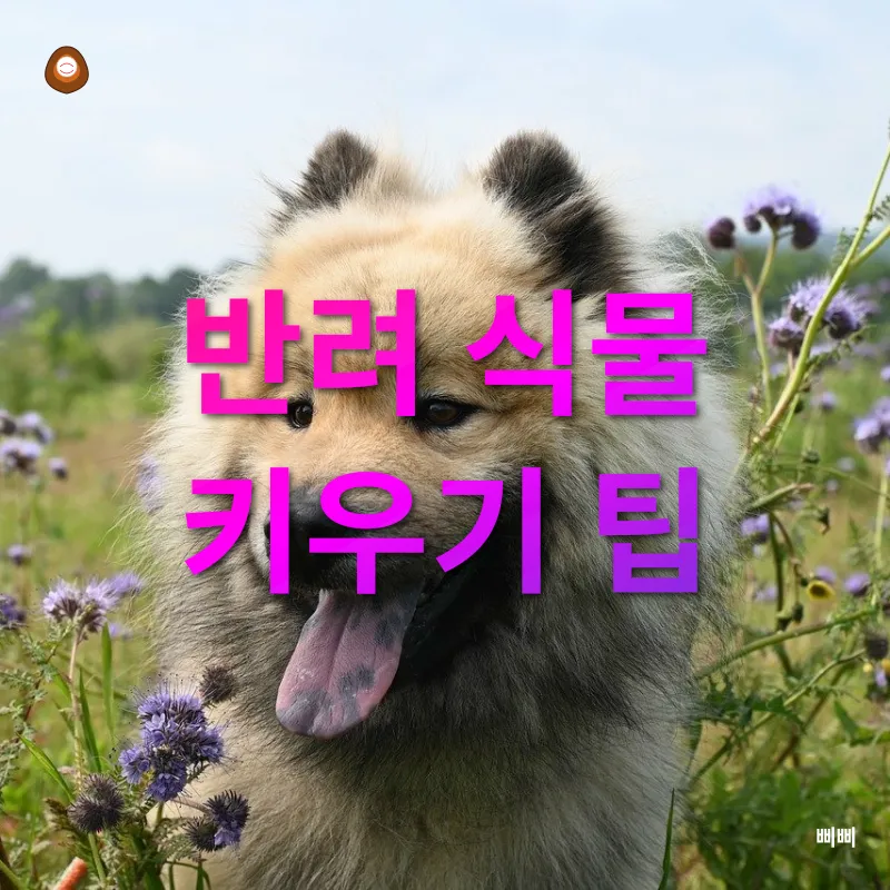 반려식물_2