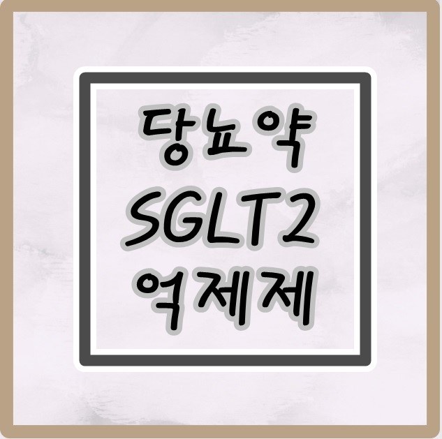 당뇨약 SGLT2억제제