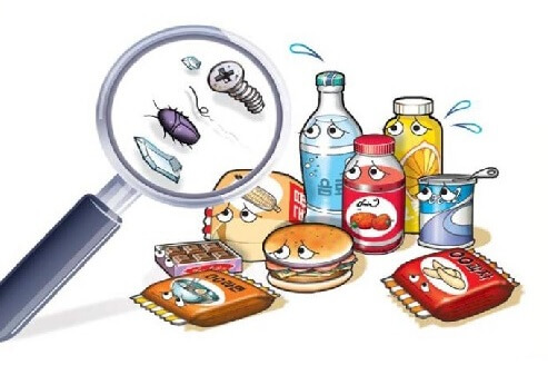 왼쪽의 확대경은 가공식품 속 벌레, 유리 파편 등 식품 오염물질을 확인한다.