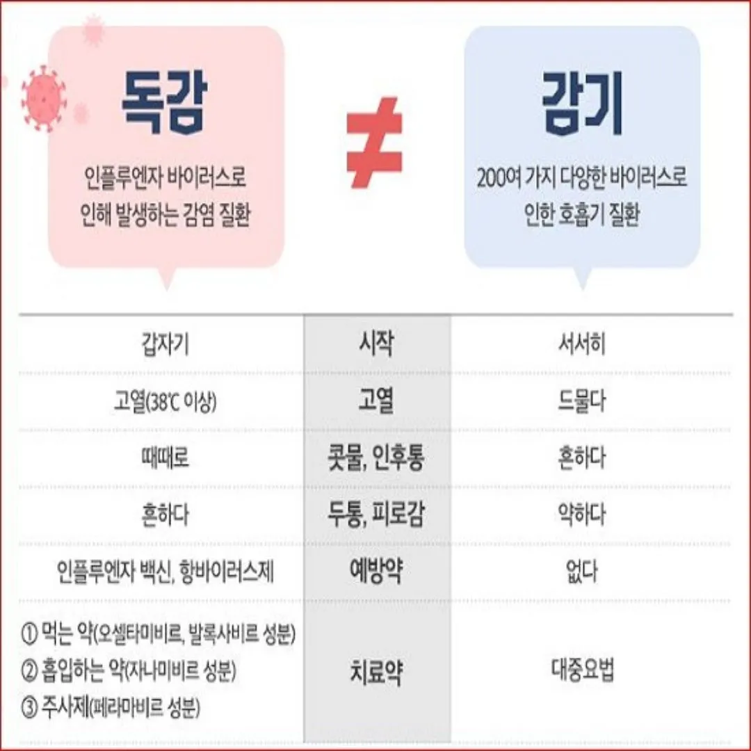 독감 증상과 격리기간 및 예방방법