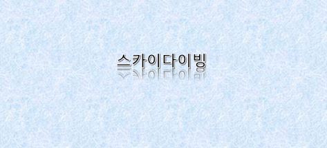  스카이다이빙 취미 활동