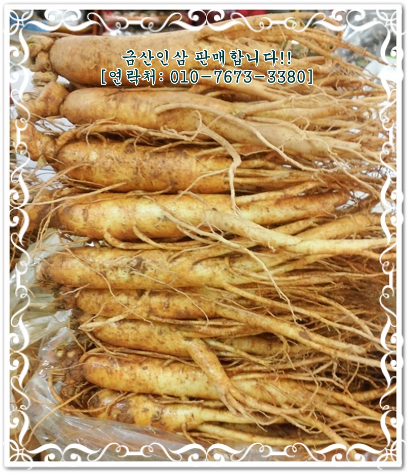 즐겨먹기 이미지