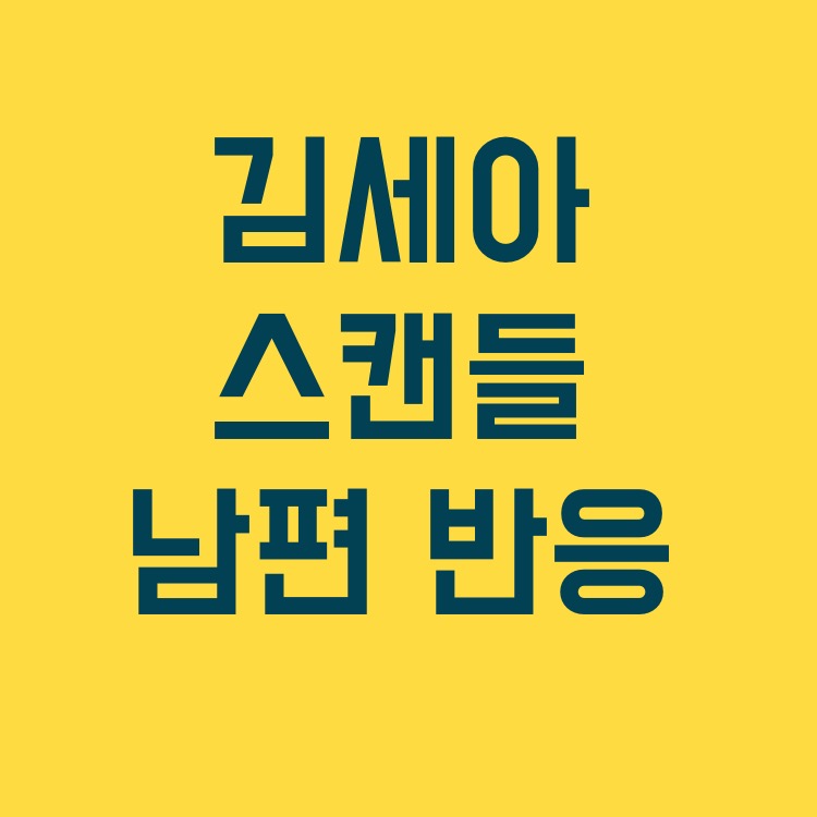  김세아 남편 스캔들 손해배상소송