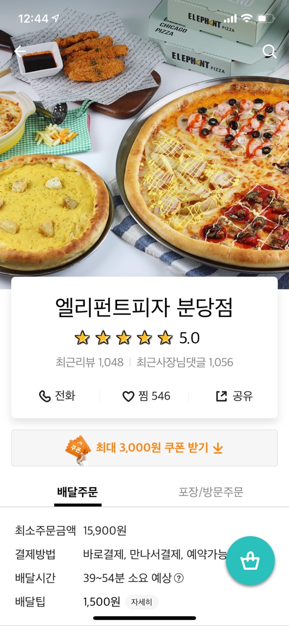 엘리펀트 이미지