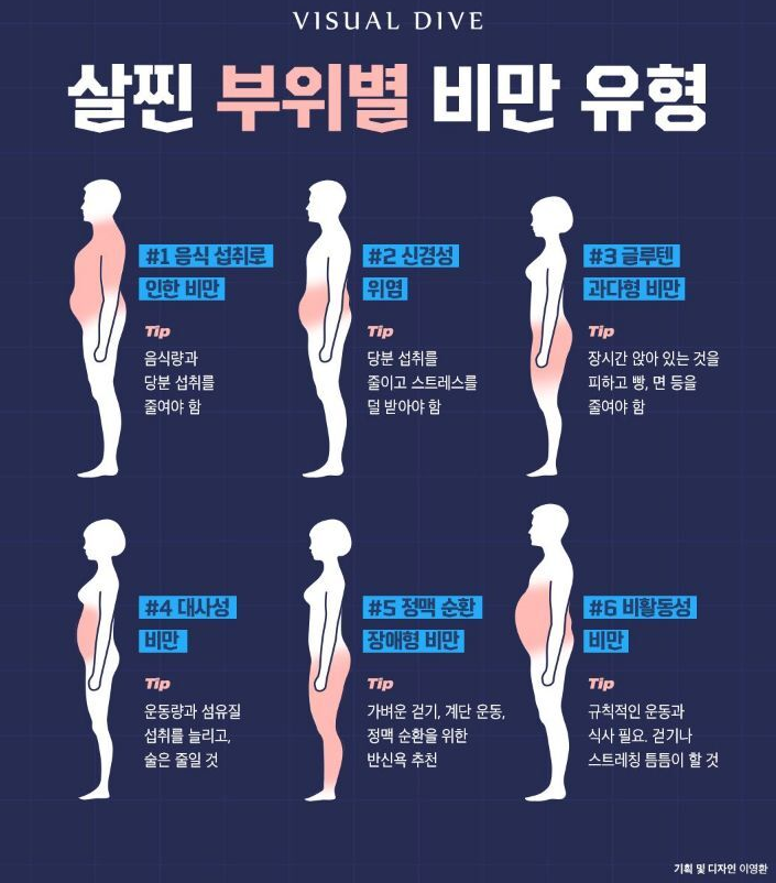  살찐 부위별 비만 유형