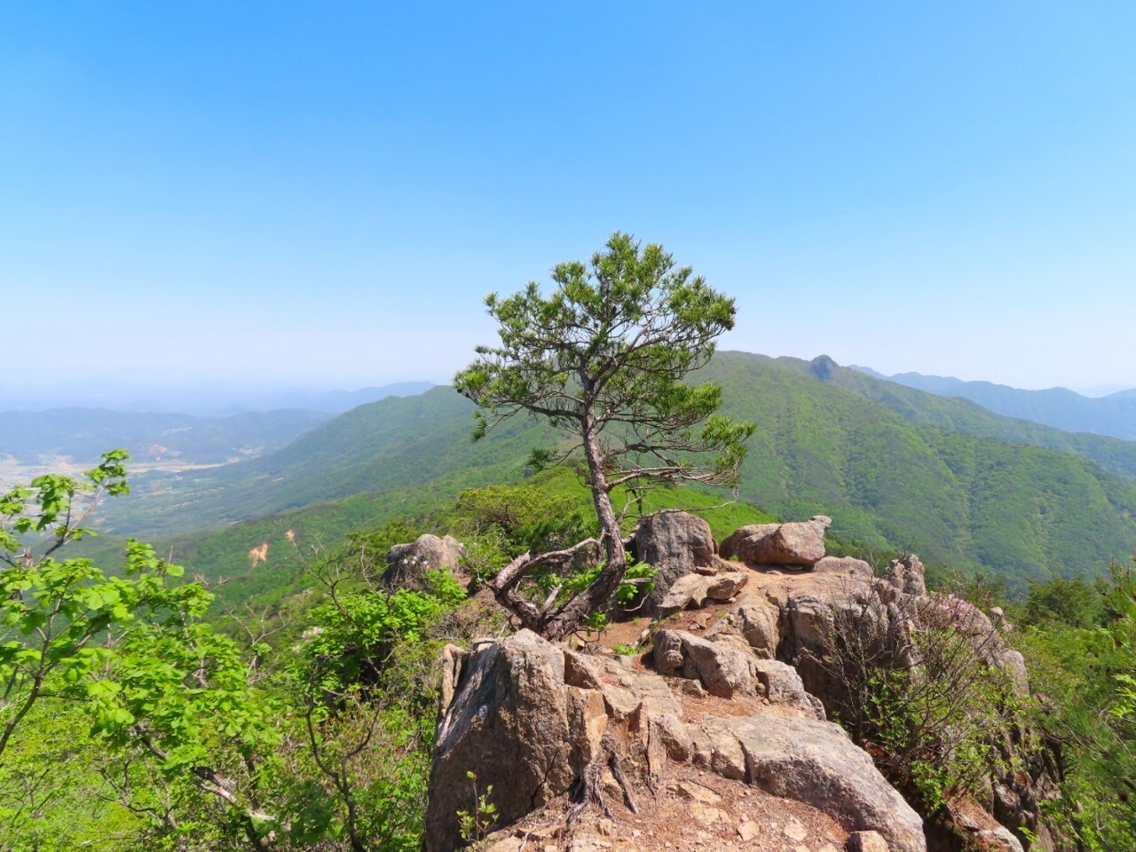 블랙야크 100+, Y출렁다리, 51