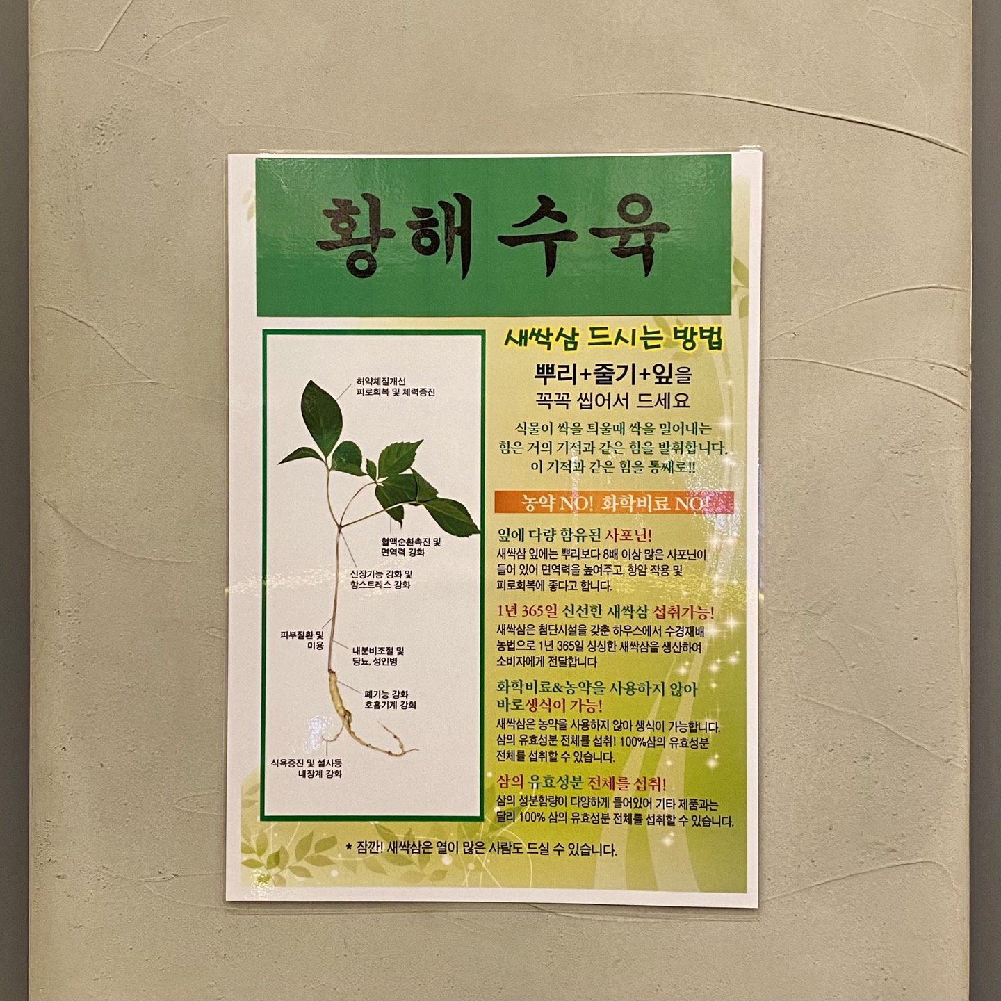 황해수육 이미지