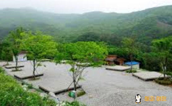 창원휴양림 오토캠핑장 전경 1