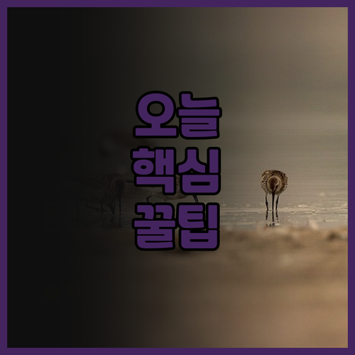 고베 아리마 여행, 더 그랜드 리조트