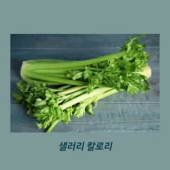 셀러리 먹는법 주스 효능_20