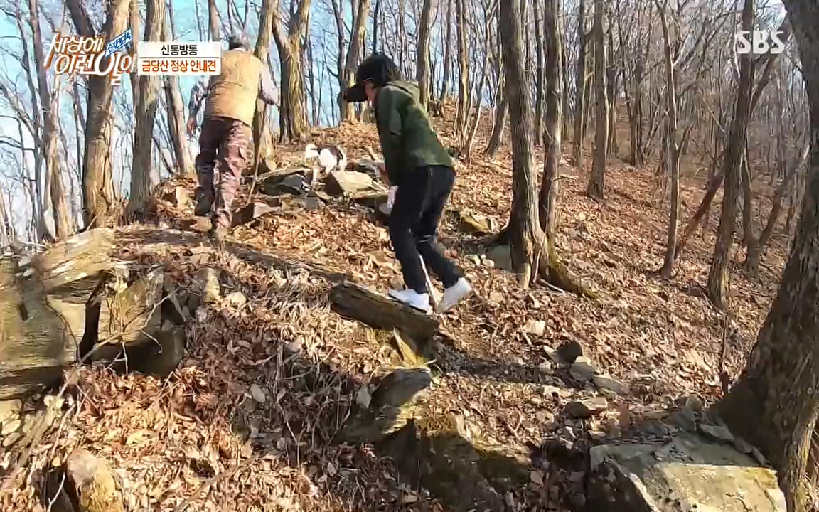 순간포착 세상에 이런일이.E1176.220420p-NEXT.mp4_20220420_175900.637.jpg