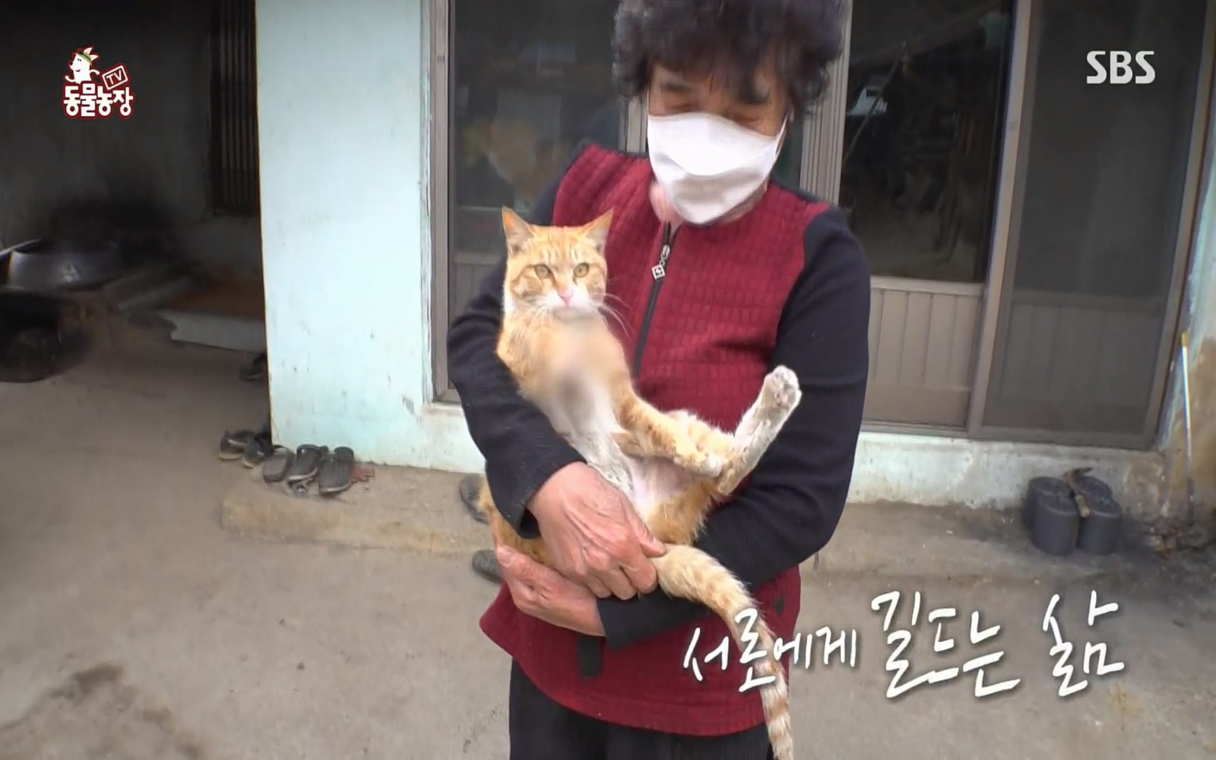 TV 동물농장.E1067.220501p.H264-F1RST.mp4_20220501_184824.264.jpg