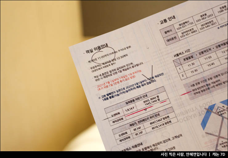 수영장 반려동물 동반 강릉숙소 추천! 강릉 세인트존스호텔 조식 16