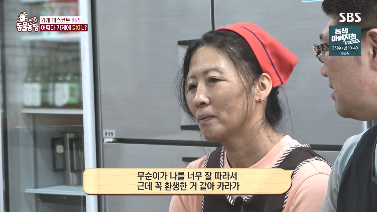 TV 동물농장.E1141.231016p-NEXT.mp4_20231015_173046.692.jpg