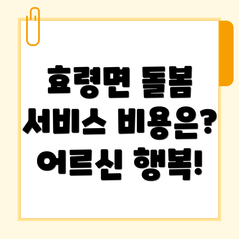 노인 돌봄 서비스