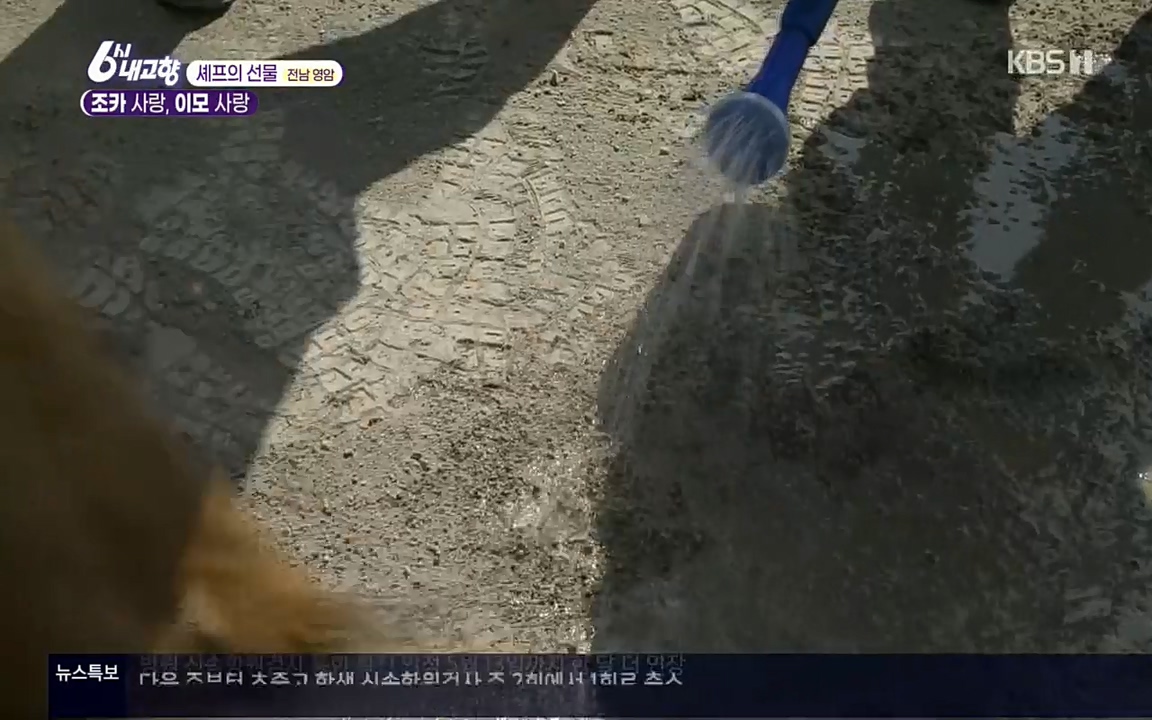 6시 내고향.E7512.220416p.H264-F1RST.mp4_20220502_193556.433.jpg