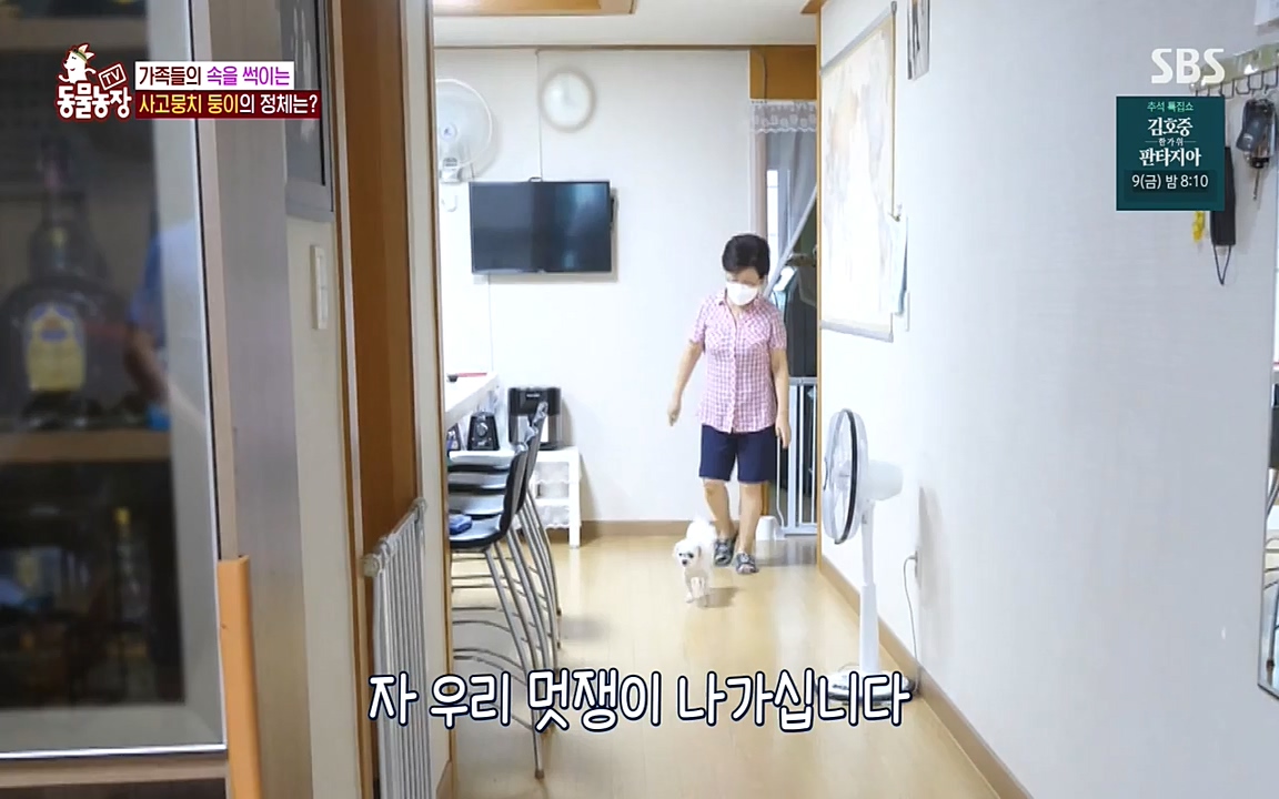 TV 동물농장.E1085.220905p-NEXT.mp4_20220904_173520.946.jpg