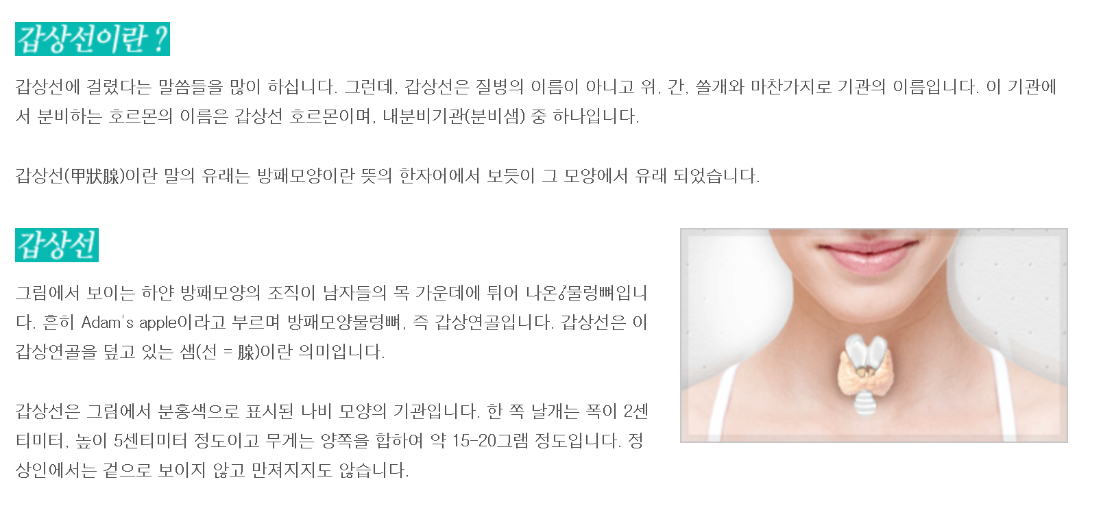 감상선이라?