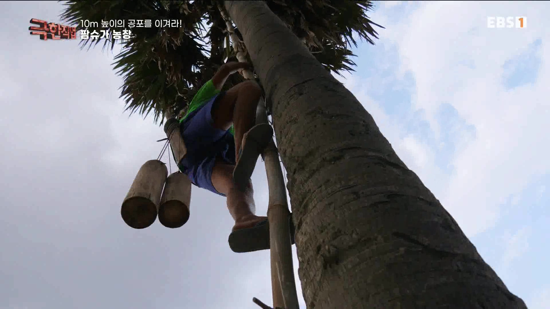 [극한 직업] 캄보디아 팜슈가 농장 230624.mp4_20230701_185222.886.jpg