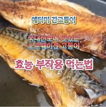 애터미_간고등어_효능_부작용_먹는법