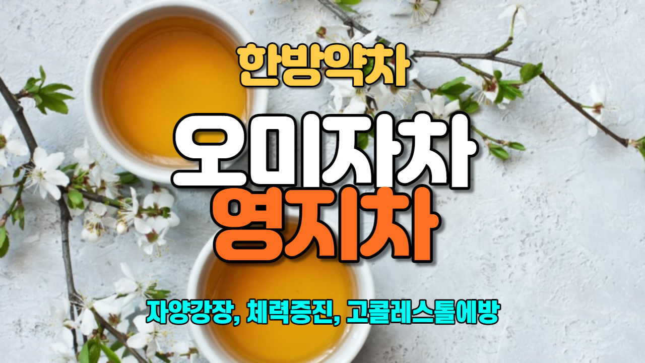  오미자차 / 영지차