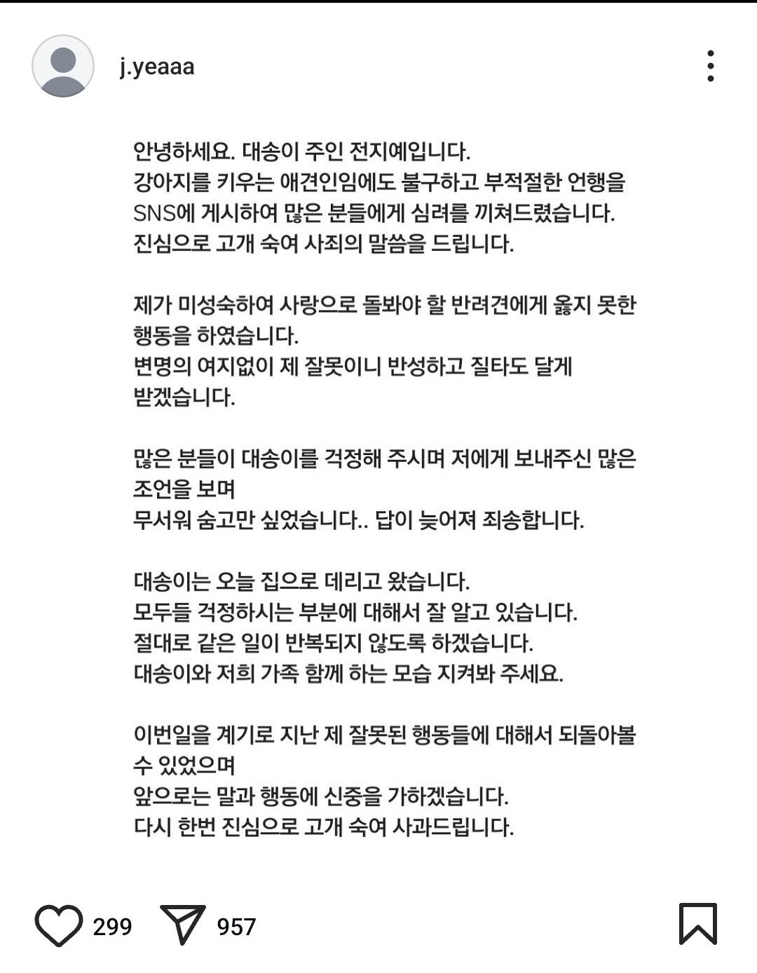 현대해상 키즈모델 엄마 시바견 동물학대 파양 논란 13