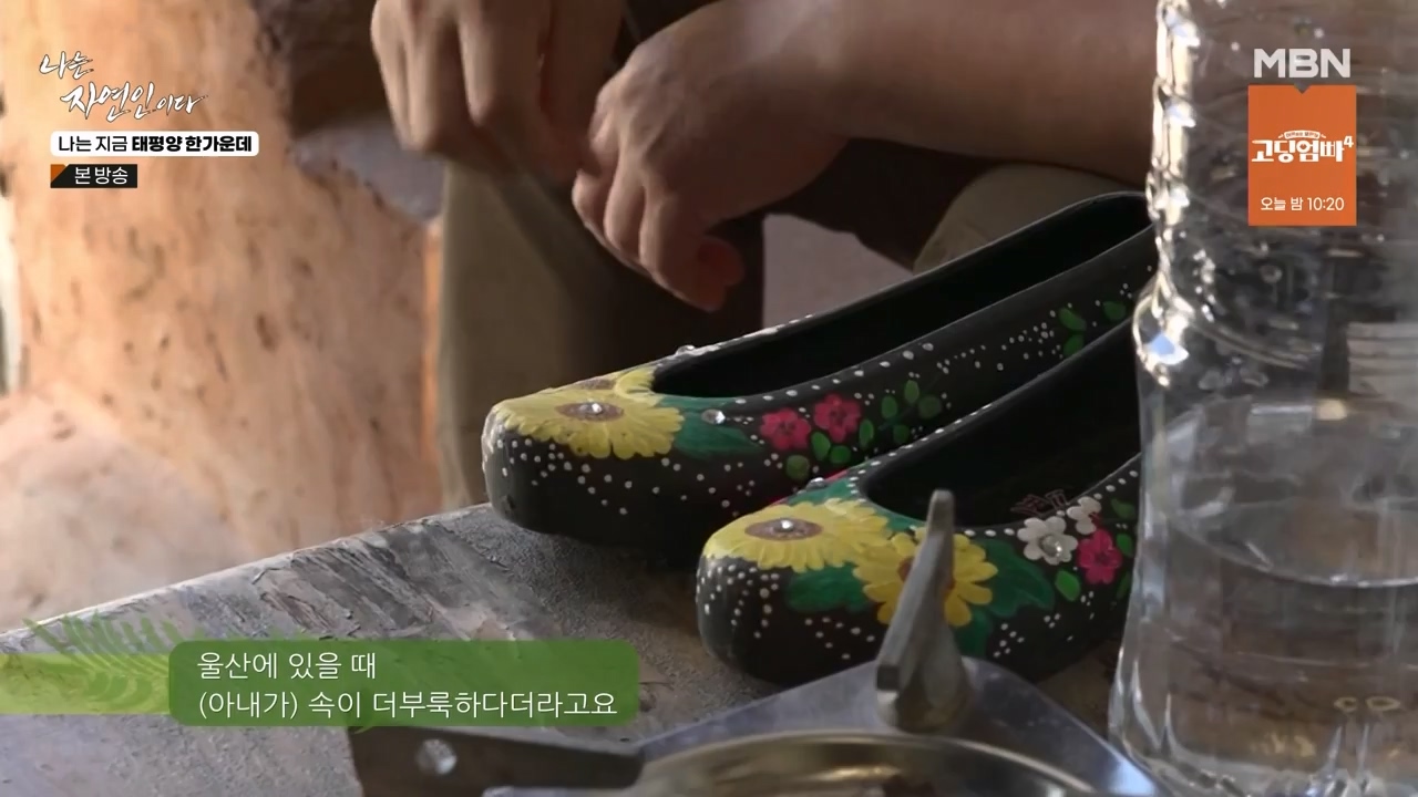 나는 자연인이다.E581.231123p-NEXT.mp4_20231123_200711.420.jpg