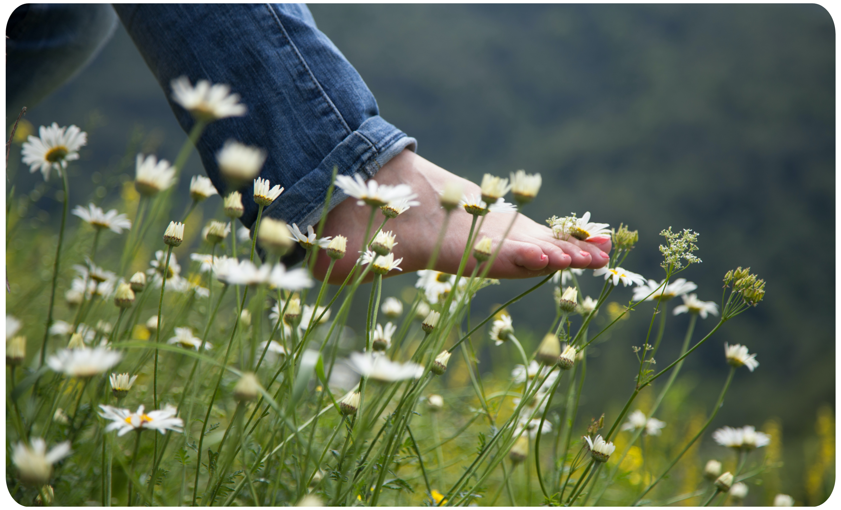 flower scent barefoot