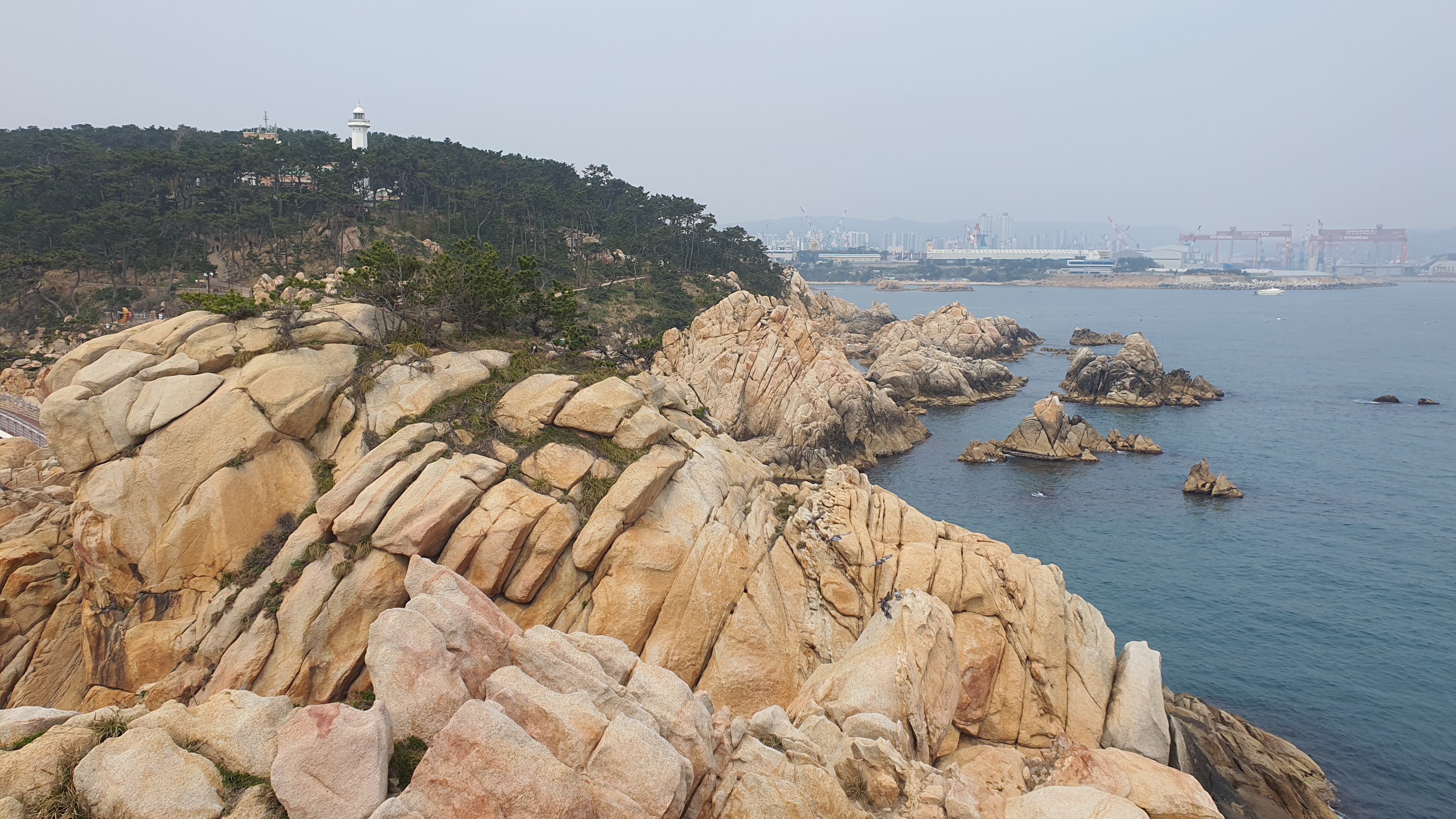 울산 대왕암 공원 출렁다리 둘레길 주변명소 주차 안내