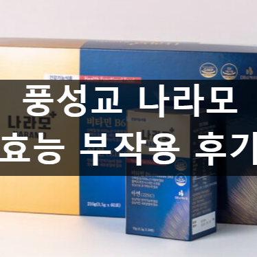 풍성교 나라모